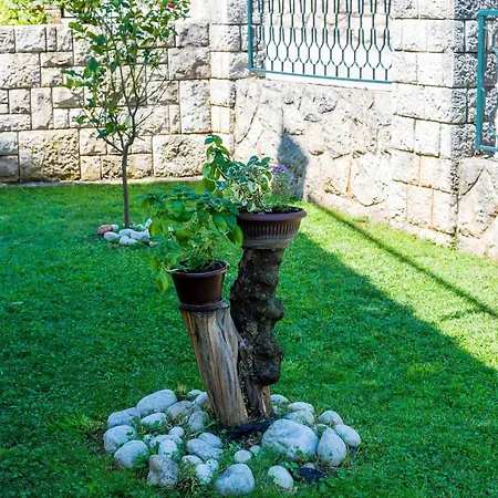 公寓 Garden - One-bedroom With Terrace 2 Adults